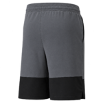PUMA "TRAIN ALL DAY " SHORT CASTLEROCK - Image 2