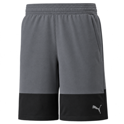 PUMA "TRAIN ALL DAY " SHORT CASTLEROCK